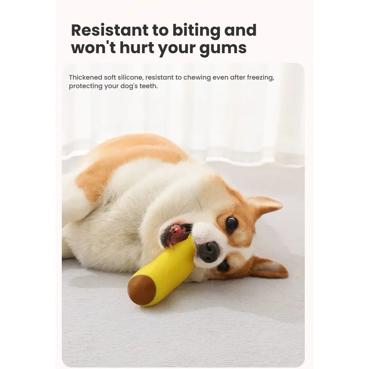 Dog resting with the banana and glass-shaped chew toys