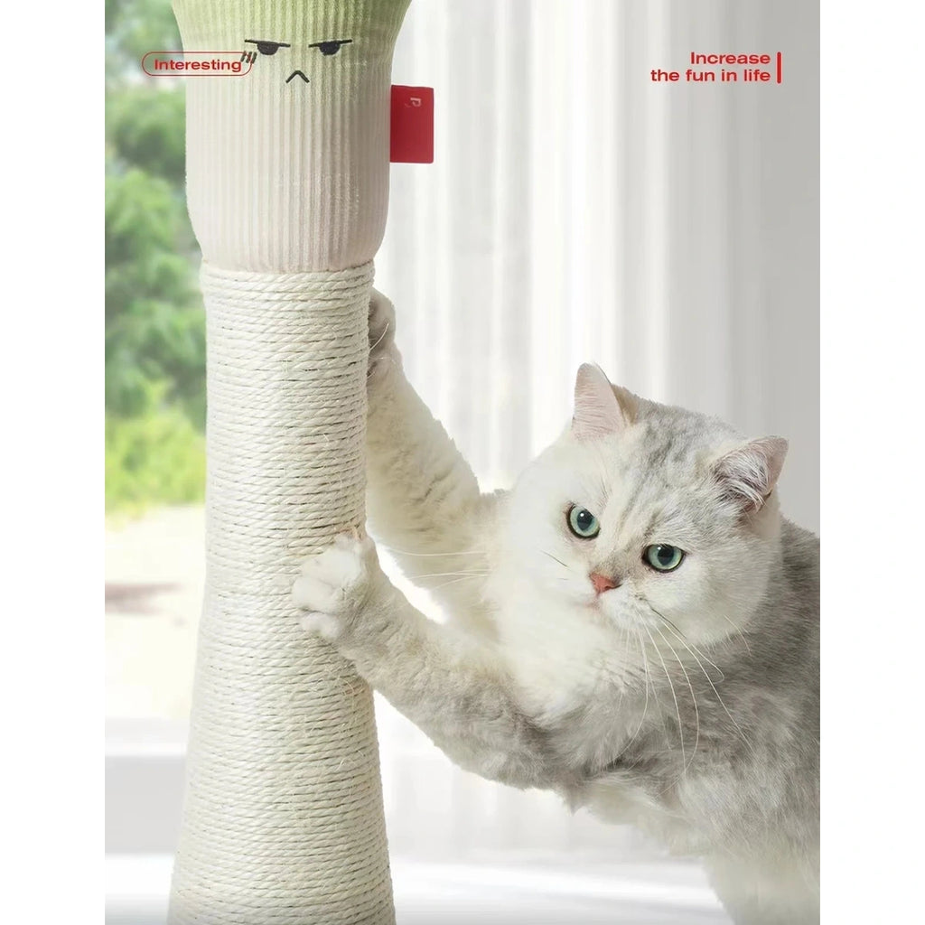 Cat scratching the post of the green onion Petstar cat tree