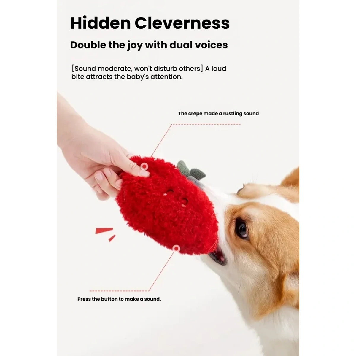 Treat being hidden inside the red apple-shaped plush dog toy