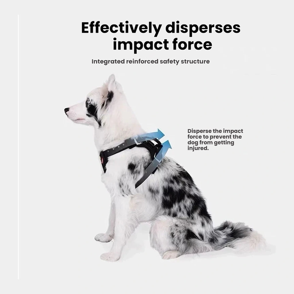 EzyDog Drive harness pressure-distribution illustration