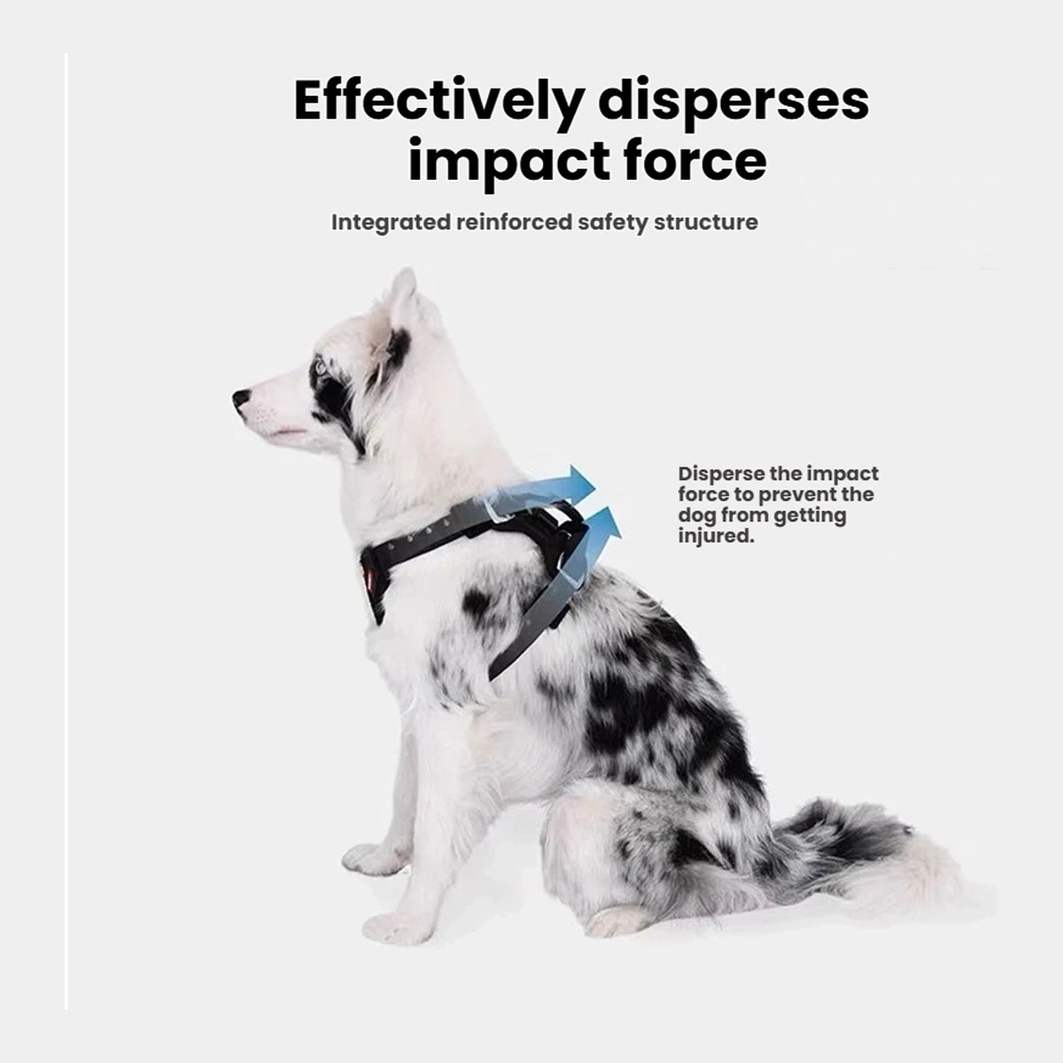 EzyDog Drive harness pressure-distribution illustration