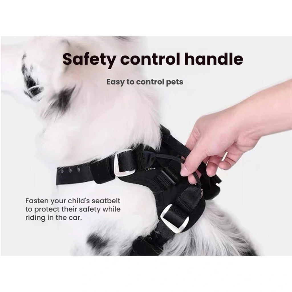 Top control handle on the black EzyDog Drive dog harness
