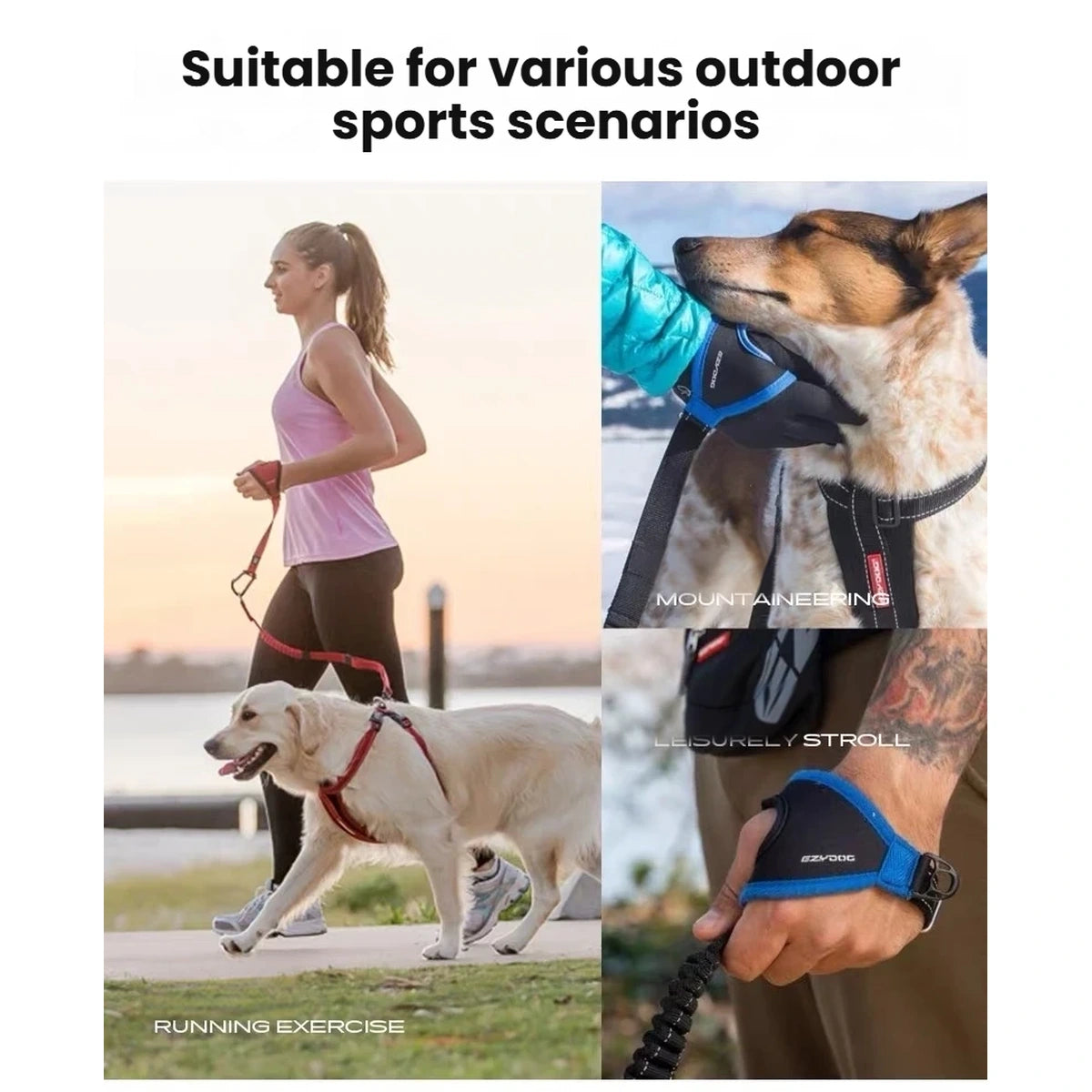 EzyDog Handy Leash used for walking and outdoor activities