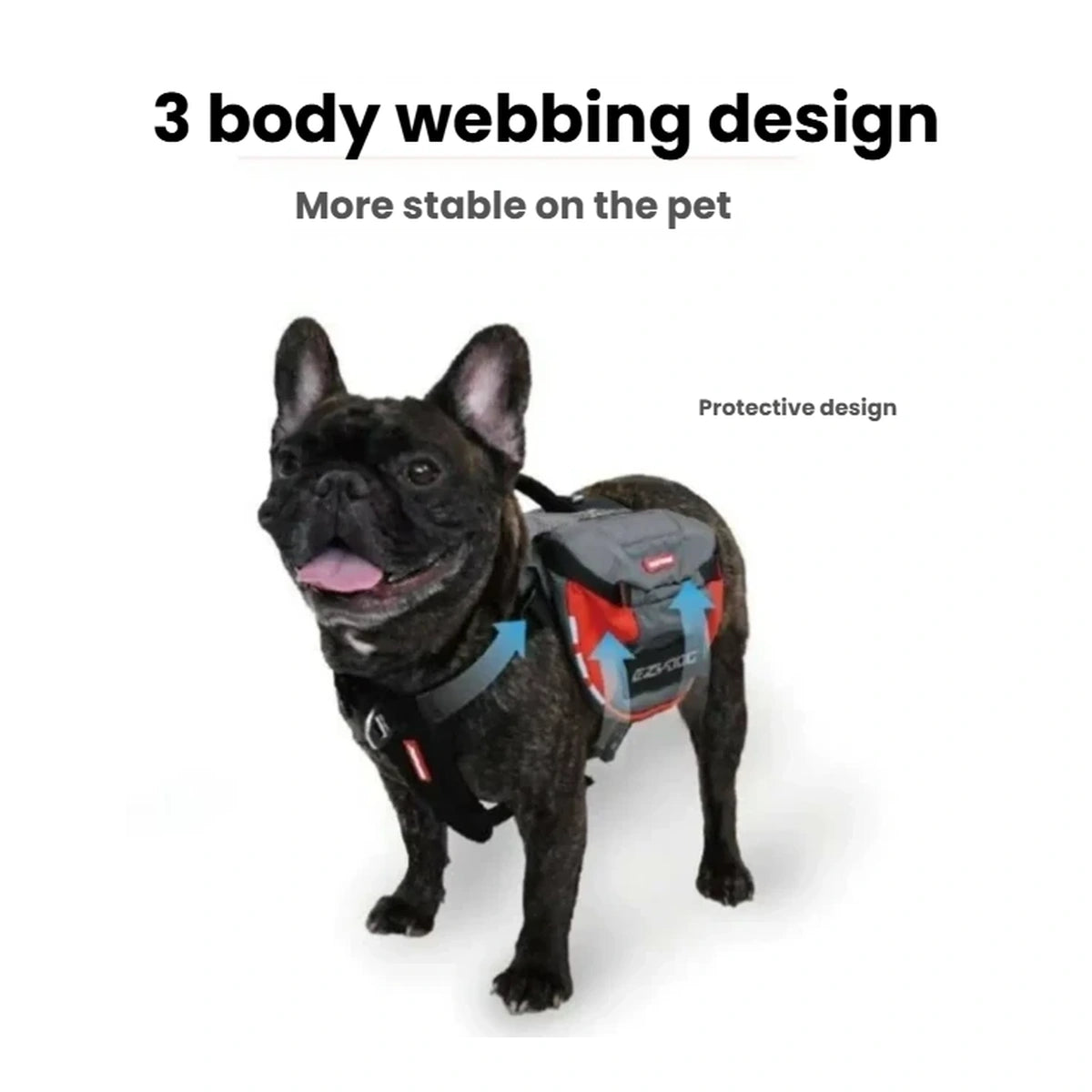 Dog wearing the EzyDog Summit backpack with three-body-webbing fit