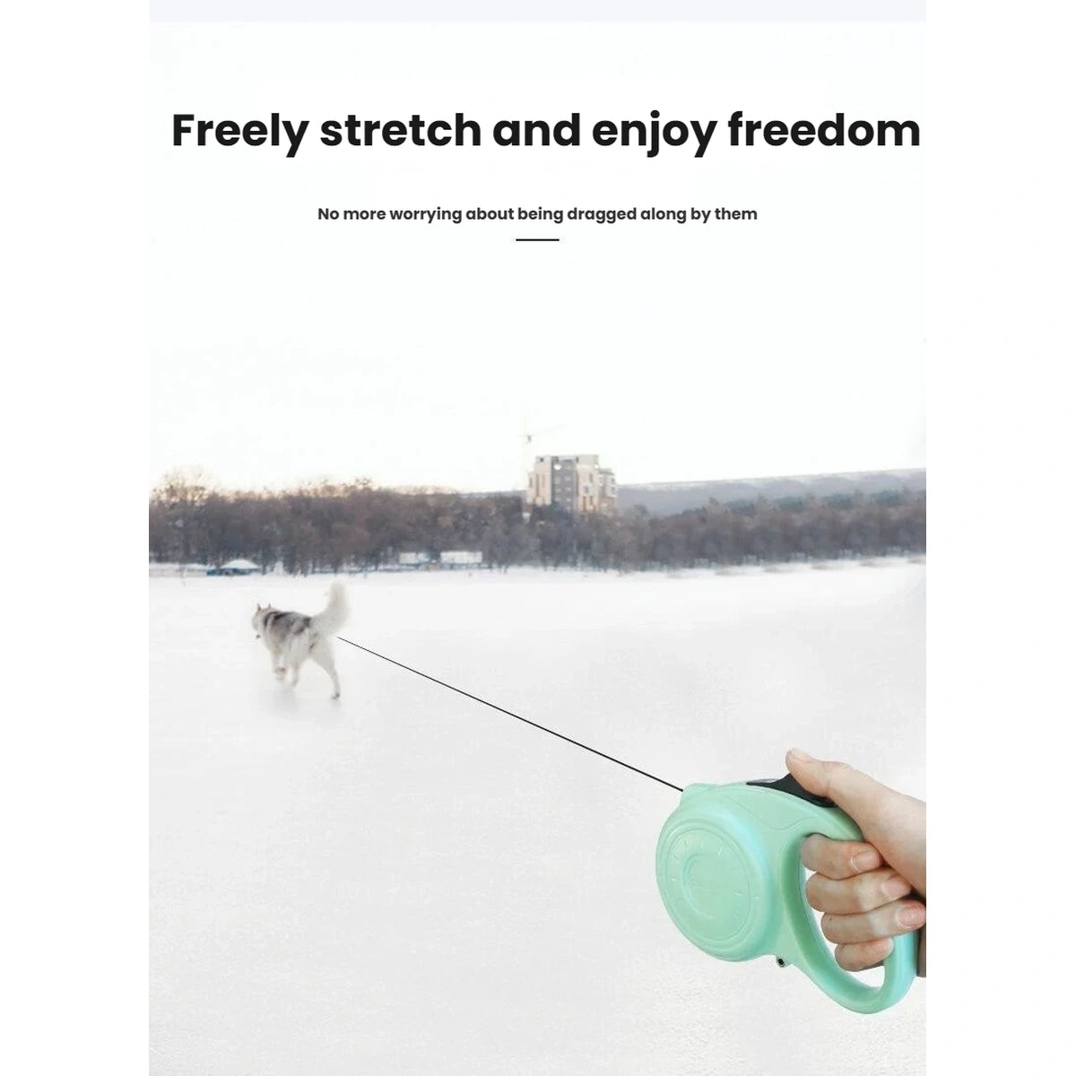 DOGNESS JS05 retractable leash extended during a walk