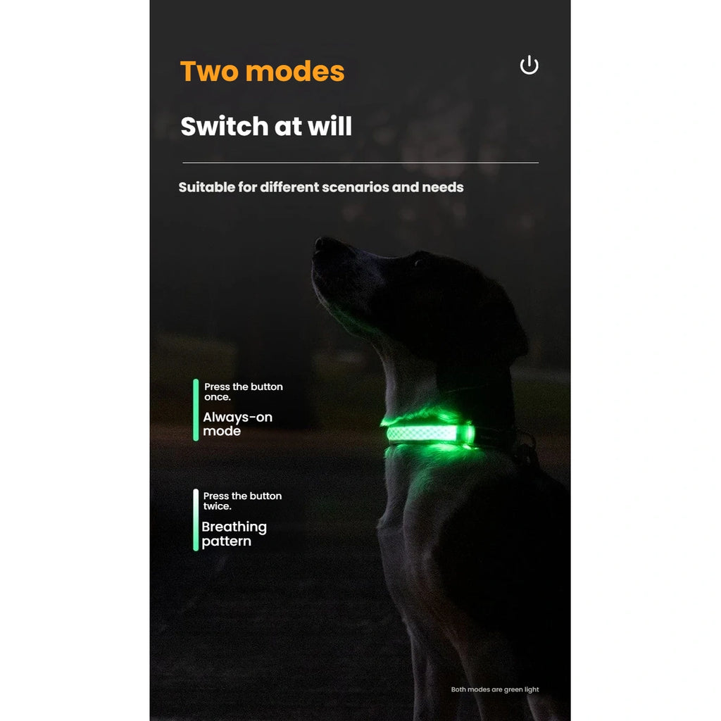 DOGNESS LED dog collar steady and flashing light modes
